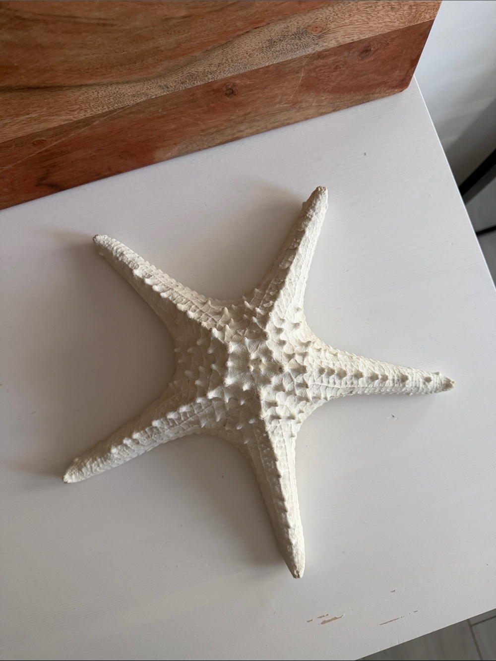 Large Seastar Coastal Beachy Decor